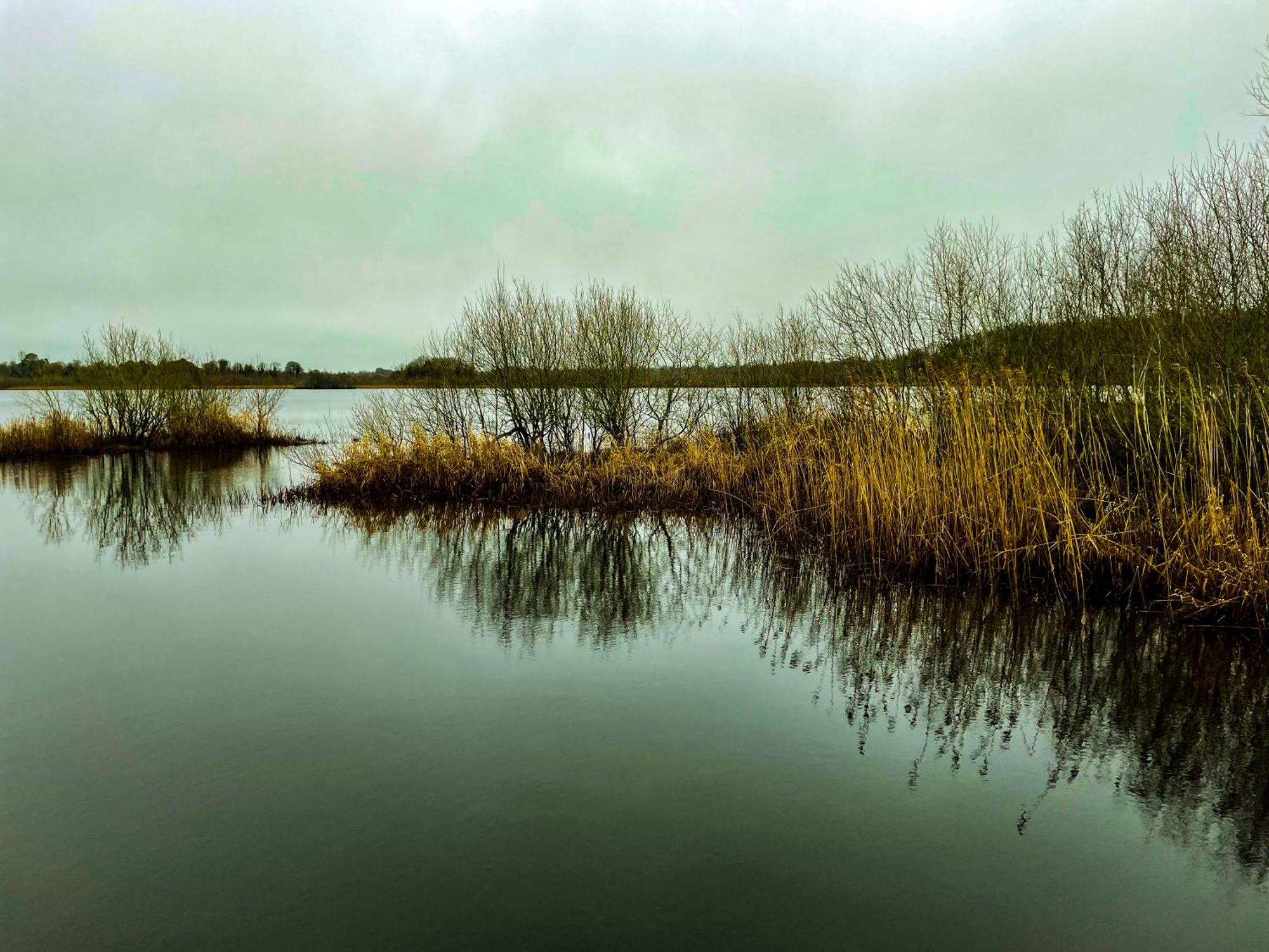 Lough Rynn Rental Mohill Екстериор снимка
